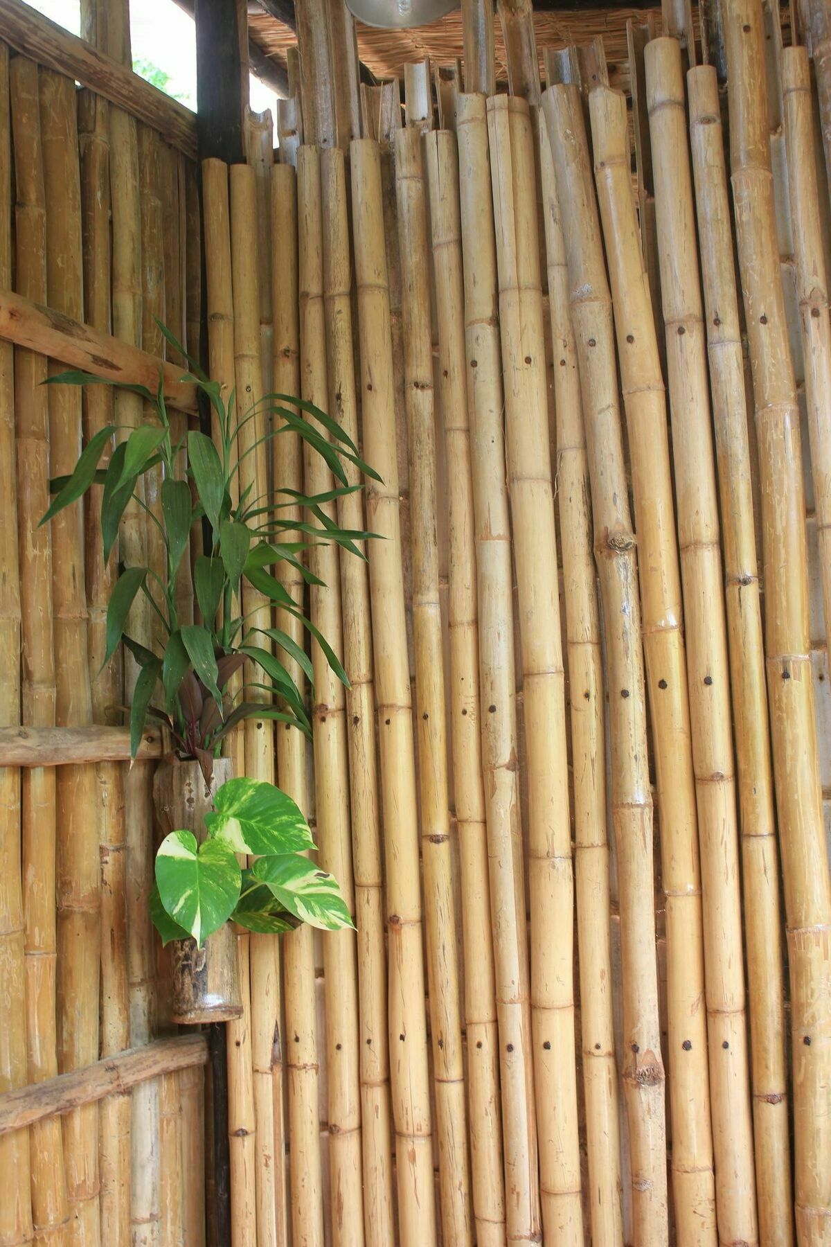 Battambang Dream Bungalows Exterior foto