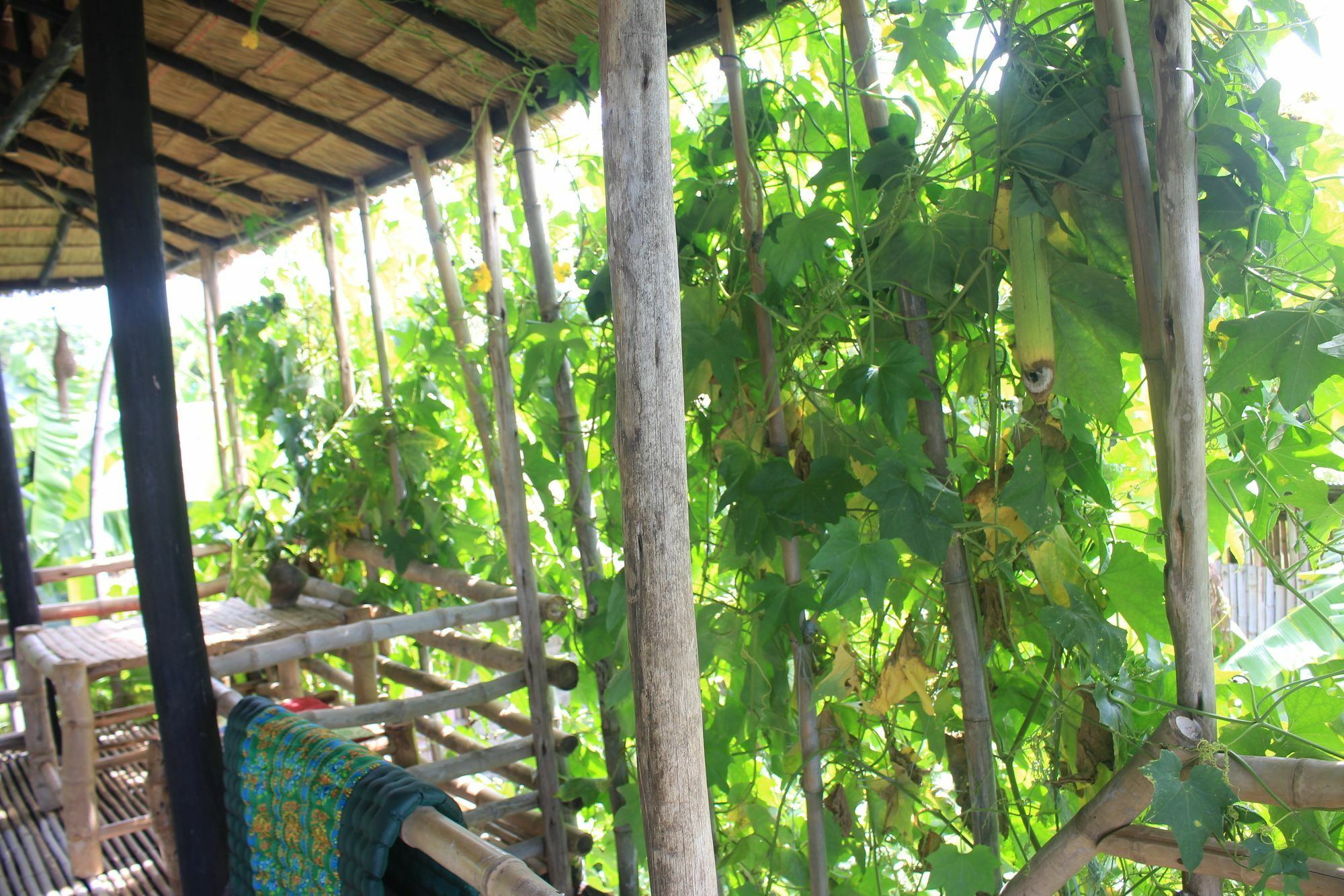 Battambang Dream Bungalows Exterior foto