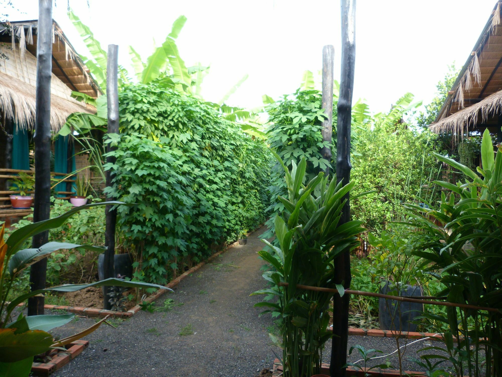 Battambang Dream Bungalows Exterior foto